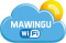 Mawingu Networks Ltd