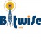 Bitwise Wireless