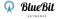 BlueBit Networks