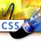 CSS Communications