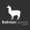 Bolivian Express