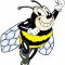 Bonner County Bee