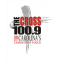 WSTS-FM 100.9 The Cross