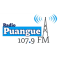Radio Puangue