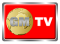 Viet Global Mall TV