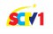 SCTV 1