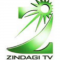 Zindagi TV
