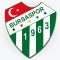 Bursaspor TV