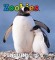 Zoobooks