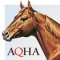 American Quarter Horse Journal