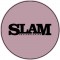 Slam Skateboarding