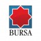 Ziarul BURSA