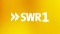 SWR 1 BW Live