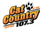 WPUR Cat Country 107.3