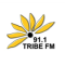Tribe FM