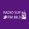 Radio Sur