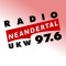 Radio Neandertal