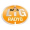 Lig Radyo