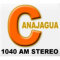 Canajagua AM Stereo