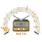 Radio Guyana Inc