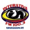 Radio Interativa FM