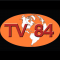 TV84