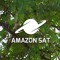 Amazon Sat(Portuguese)